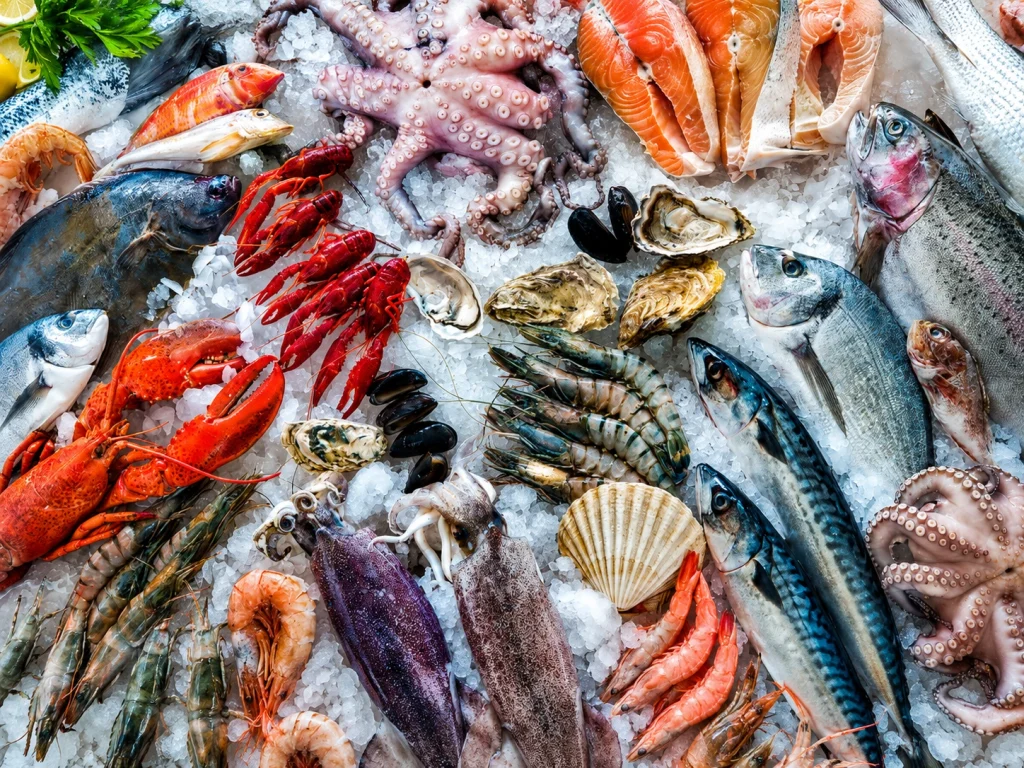 Pakistan Seafood Exports Hit $500 Million 46 Days Early and Russia Just Opened Its Doors for $300 Million More Pakistan seafood exports $500 million milestone Russia market 16 companies Korangi processing zone blue economy Junaid Chaudhry 2026