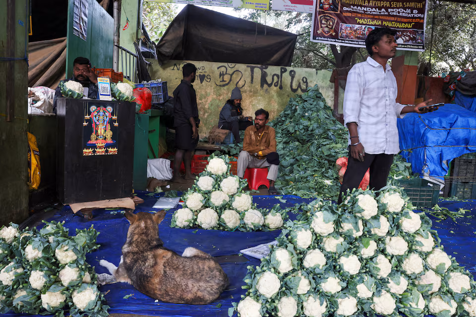 Indian Economy Faces Mounting Costs as Iran War Drags On
