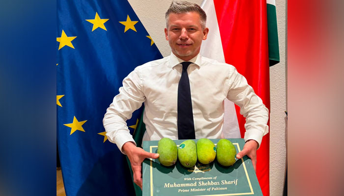 Shehbaz Sharif mango gift received by Hungarian Prime Minister Viktor Orban, featuring premium Pakistani mangoes presented as a diplomatic gift.